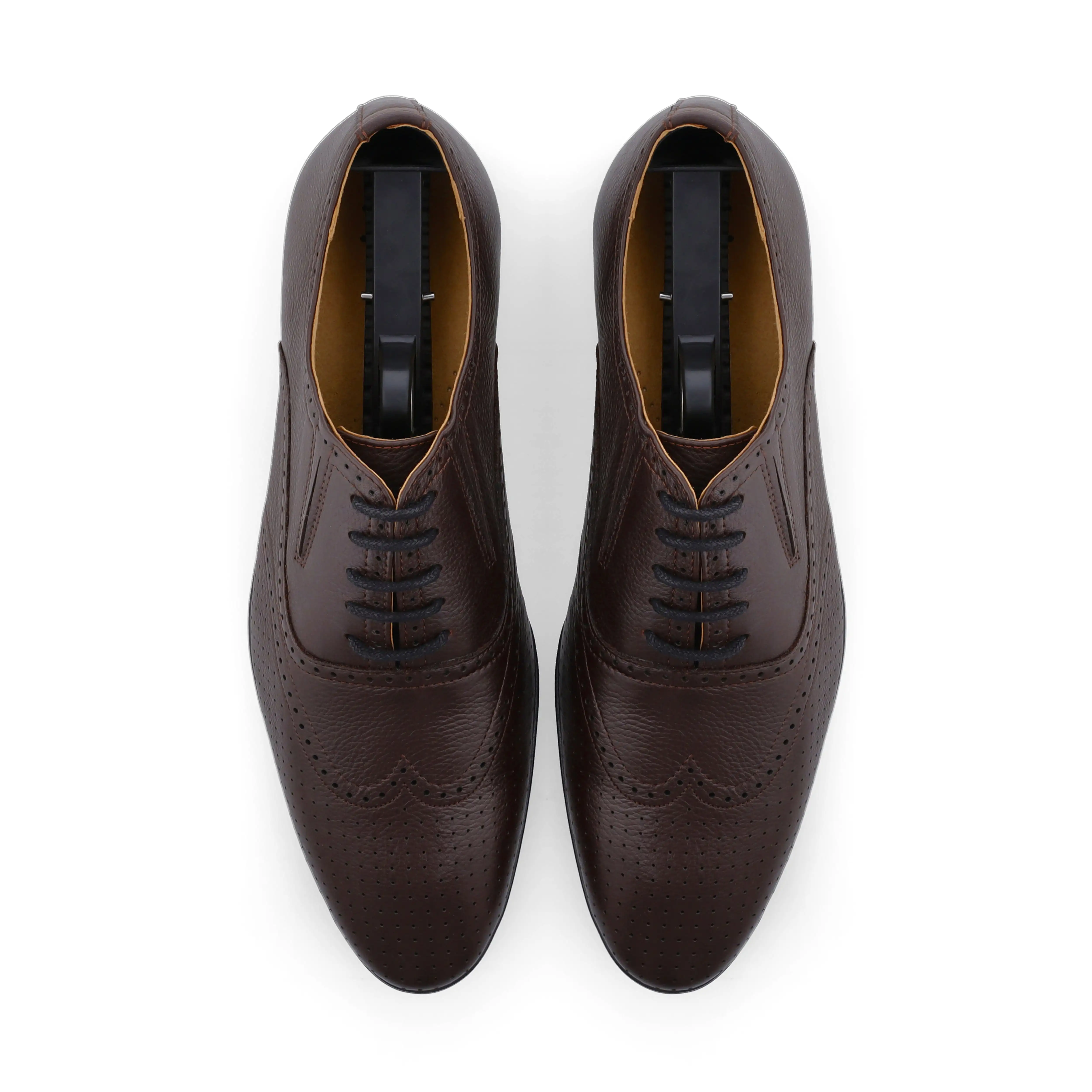 Brogue Dotted Oxfords-Brown