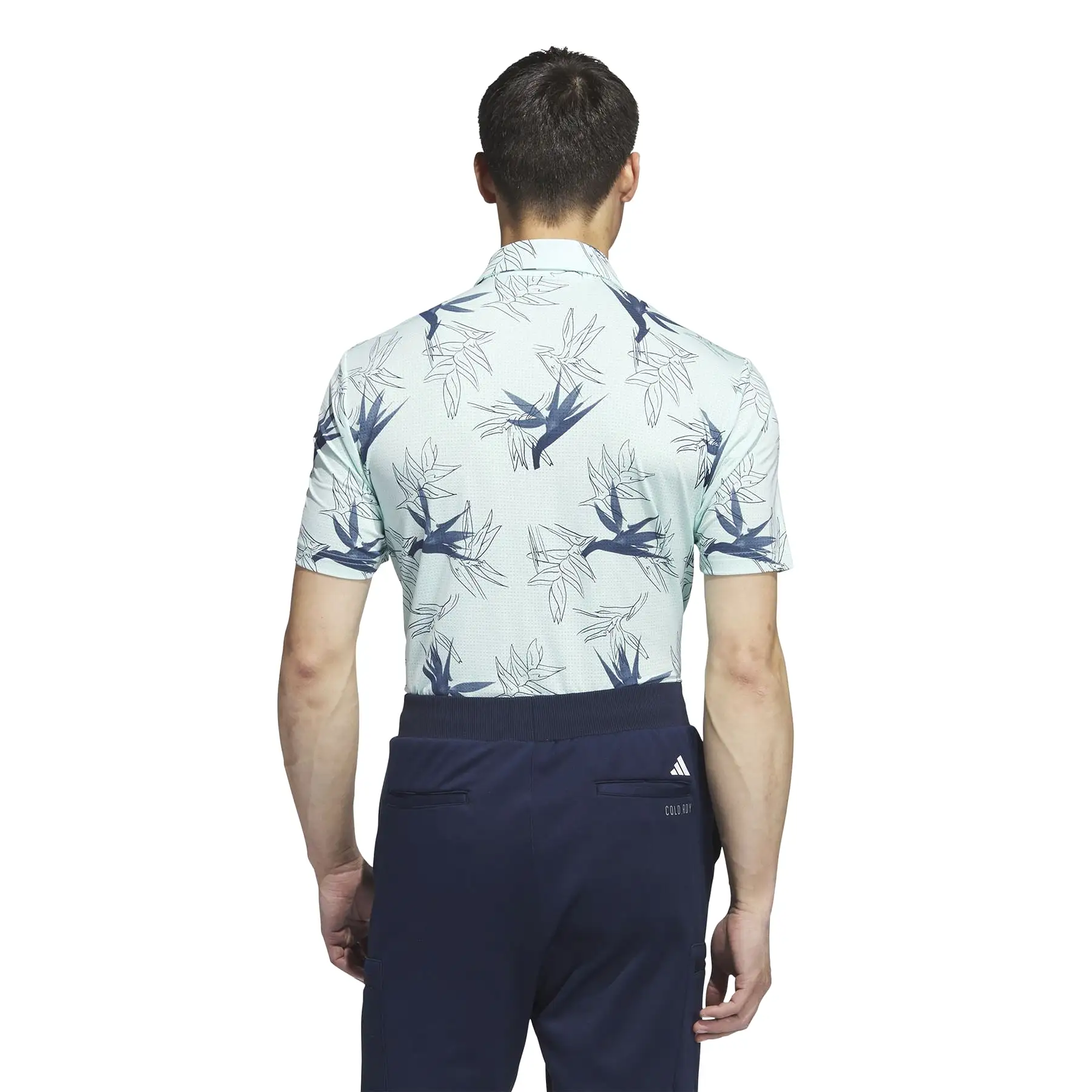 Oasis Mesh Polo Semi Flash Aqua - W23