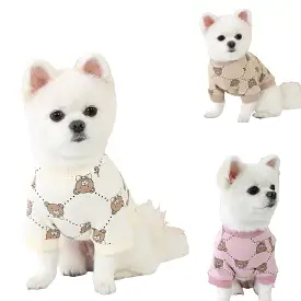 R logo Cute Bear Patterned Dogs Clothes Casual Comfortable Clothing Korean Designers Apparel Outfits Pets Knit Banding