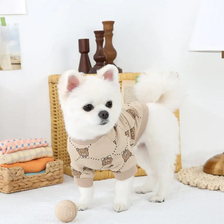 R logo Cute Bear Patterned Dogs Clothes Casual Comfortable Clothing Korean Designers Apparel Outfits Pets Knit Banding