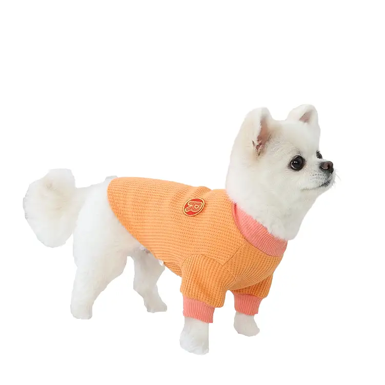 R logo Dogs Clothes Waffle patterned Casual Cute Comfortable Clothing Korean Designers Apparel Outfits Bright Colours Pets