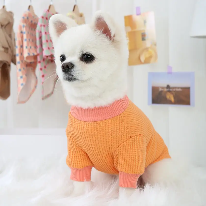 R logo Dogs Clothes Waffle patterned Casual Cute Comfortable Clothing Korean Designers Apparel Outfits Bright Colours Pets