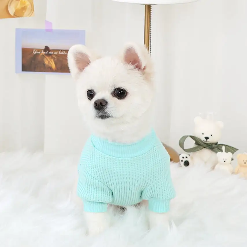 R logo Dogs Clothes Waffle patterned Casual Cute Comfortable Clothing Korean Designers Apparel Outfits Bright Colours Pets