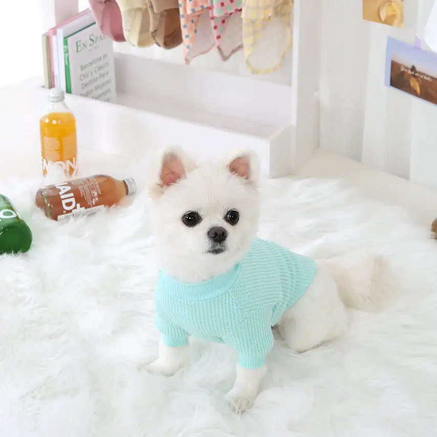 R logo Dogs Clothes Waffle patterned Casual Cute Comfortable Clothing Korean Designers Apparel Outfits Bright Colours Pets