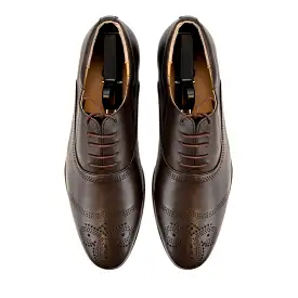 Wingtip Patterned Oxfords